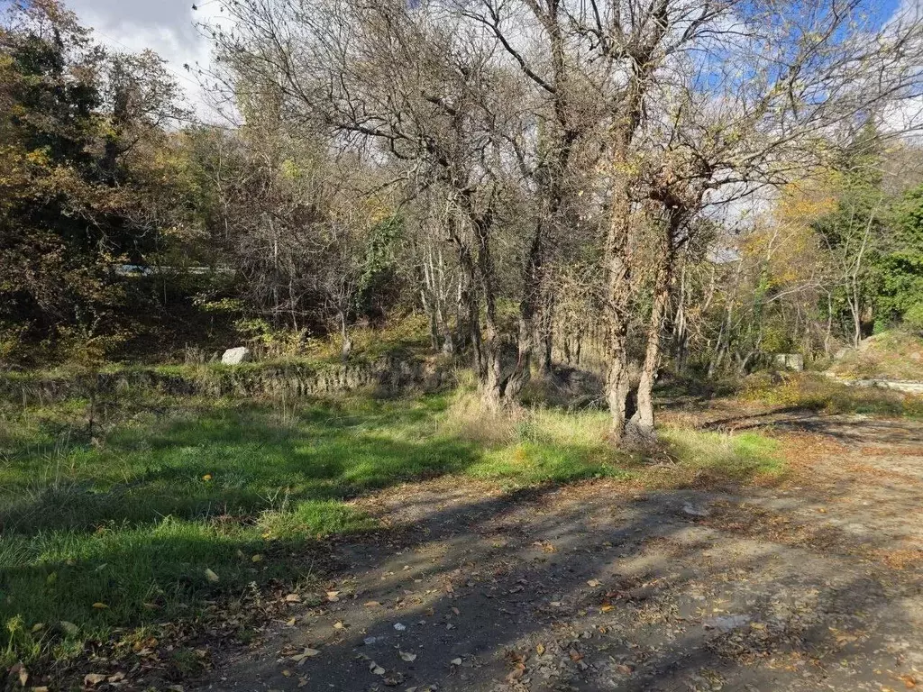 Участок в Крым, Ялта муниципальный округ, Гурзуф пгт ш. Гурзуфское, 1Ж ... - Фото 1