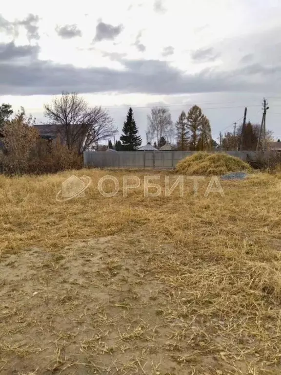 Участок в Тюменская область, Тюменский муниципальный округ, ... - Фото 1