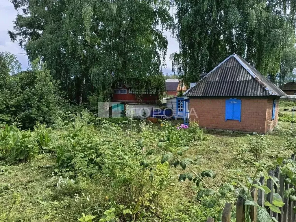 Участок в Новосибирская область, Искитимский район, Чернореченский ... - Фото 1