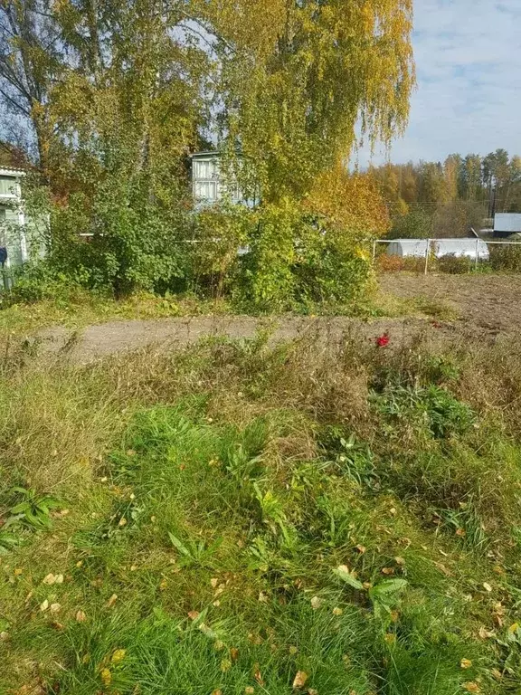 Дом в Новосибирская область, Новосибирск Русская березка СНТ,  (40 м) - Фото 2