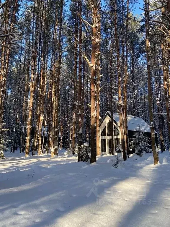 Дом в Вологодская область, Череповецкий район, Югское муниципальное ... - Фото 0