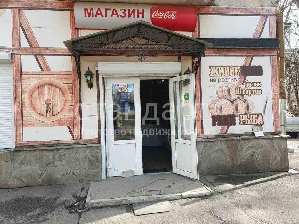 Торговая площадь в Ставропольский край, Ессентуки Озерная ул. (161 м) - Фото 2