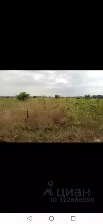 Участок в Краснодарский край, Анапа муниципальный округ, пос. ... - Фото 1