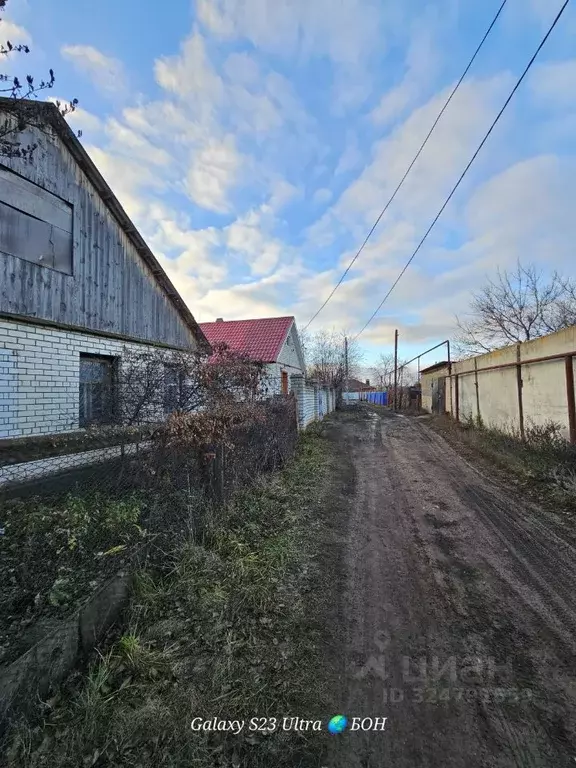 Участок в Саратовская область, Балаковский район, Быково-Отрогское ... - Фото 1