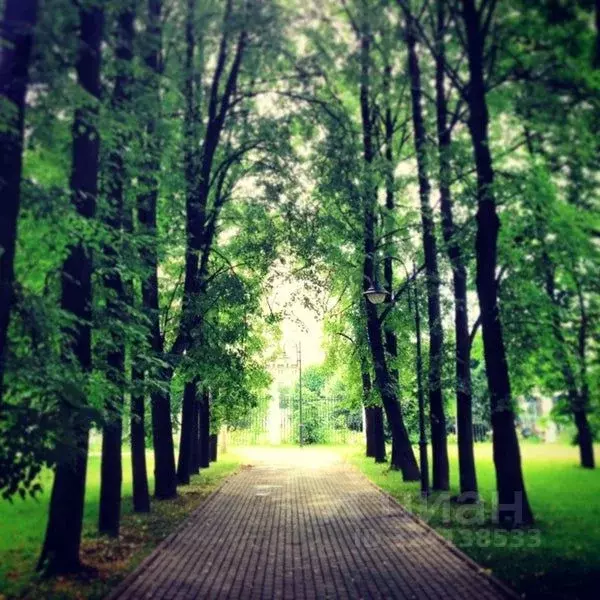 Комната Москва ул. Клары Цеткин, 25к1 (16.4 м) - Фото 2