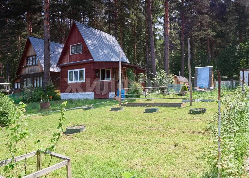 Дом в Новосибирская область, Новосибирский район, Кубовинский ... - Фото 1