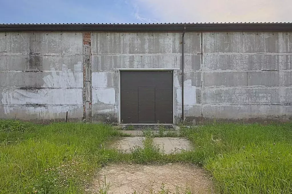 Склад в Московская область, Раменский муниципальный округ, д. ... - Фото 2
