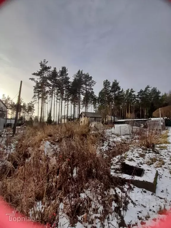 Участок в Санкт-Петербург, Санкт-Петербург, Зеленогорск Выборгский ... - Фото 1