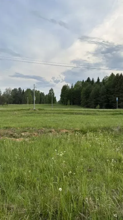 Участок в Ленинградская область, Бокситогорский район, Борское с/пос, ... - Фото 0