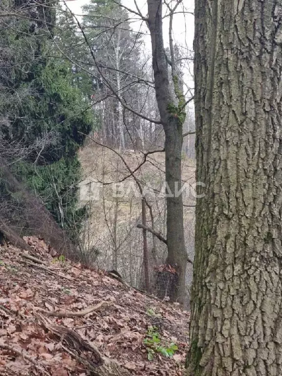 Продается участок в г. Хотьково - Фото 2