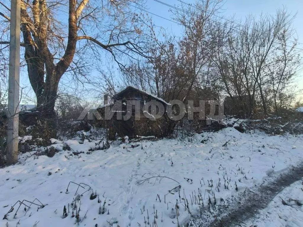 Дом в Новосибирская область, Мошковский район, с. Сокур Рабочая ул. ... - Фото 2