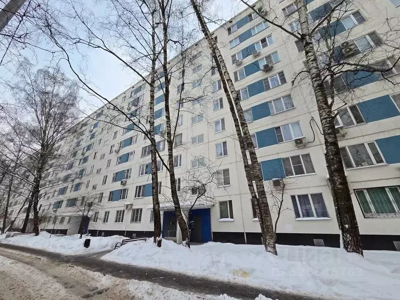 Студия Москва ул. Коненкова, 6А (16.0 м) - Фото 1