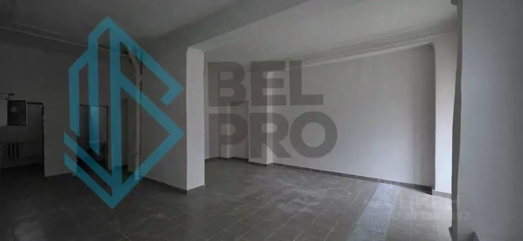 Торговая площадь в Московская область, Электросталь ул. Чернышевского, ... - Фото 2