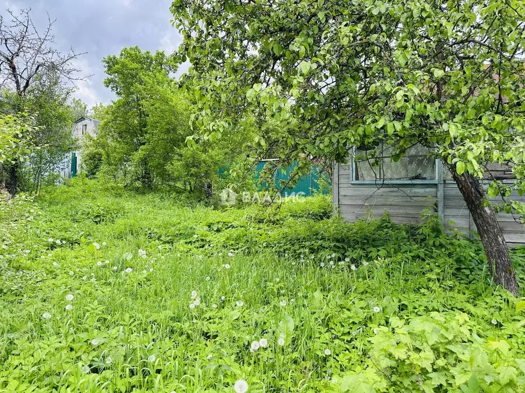 Участок в Нижегородская область, Нижний Новгород Победа СНТ, 274 (4.7 ... - Фото 2