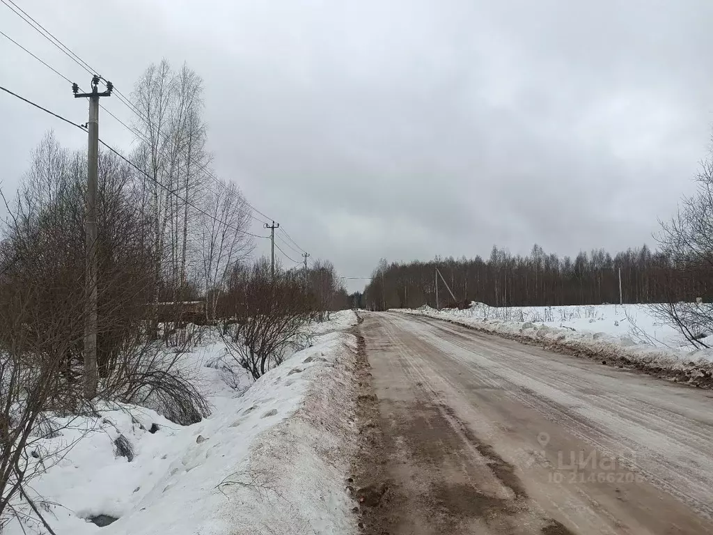 Участок в Новгородская область, Новгородский район, Савинское с/пос, ... - Фото 0