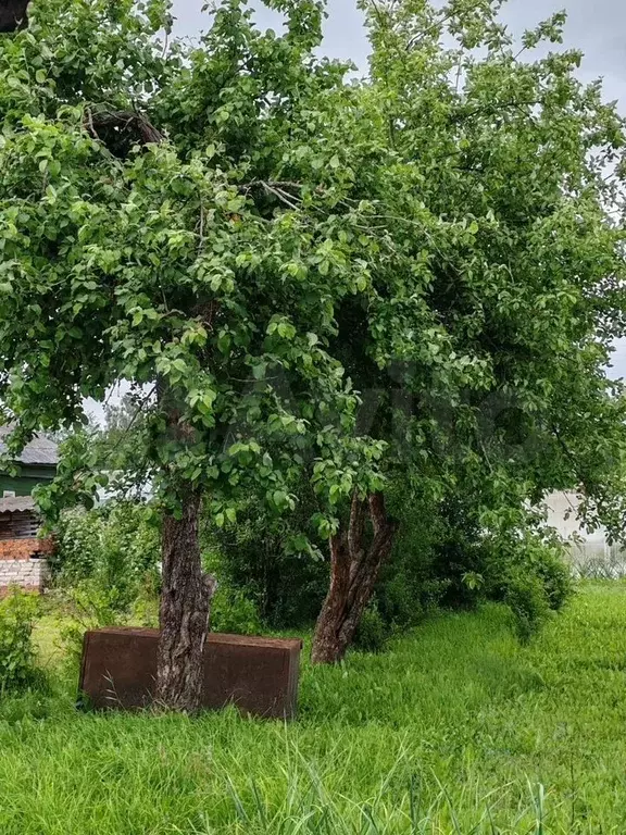 Дом 65 м на участке 10 сот. - Фото 1