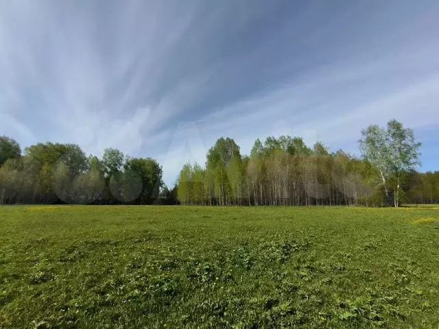 Участок 20 сот. (ИЖС) - Фото 0