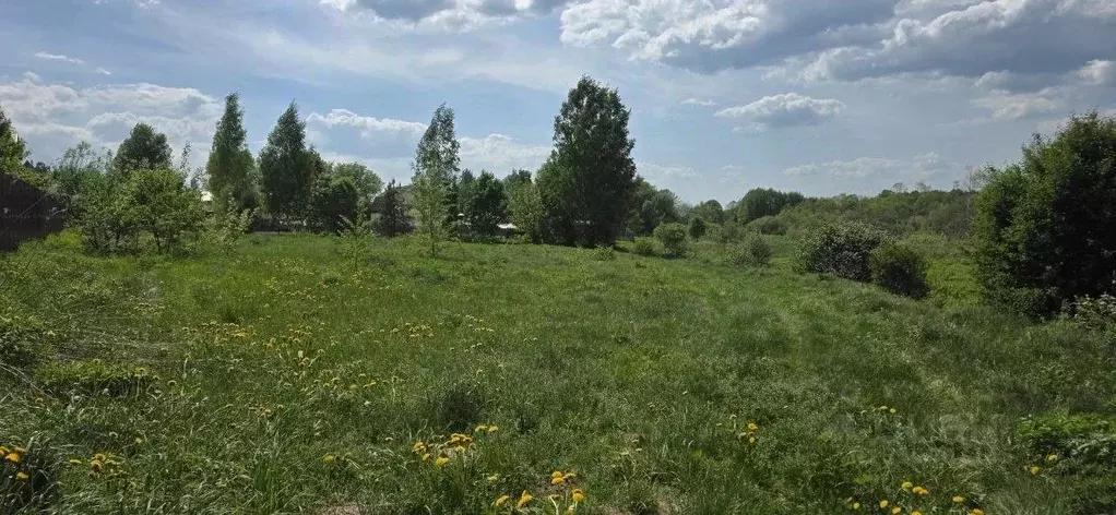 Участок в Московская область, Щелково городской округ, с. Душоново  ... - Фото 1