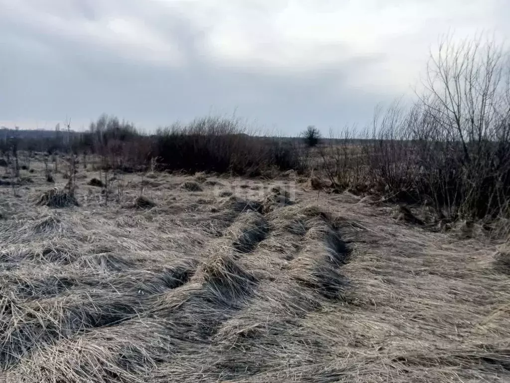 Участок в Липецкая область, Липецк Известковая ул. (9.01 сот.) - Фото 0