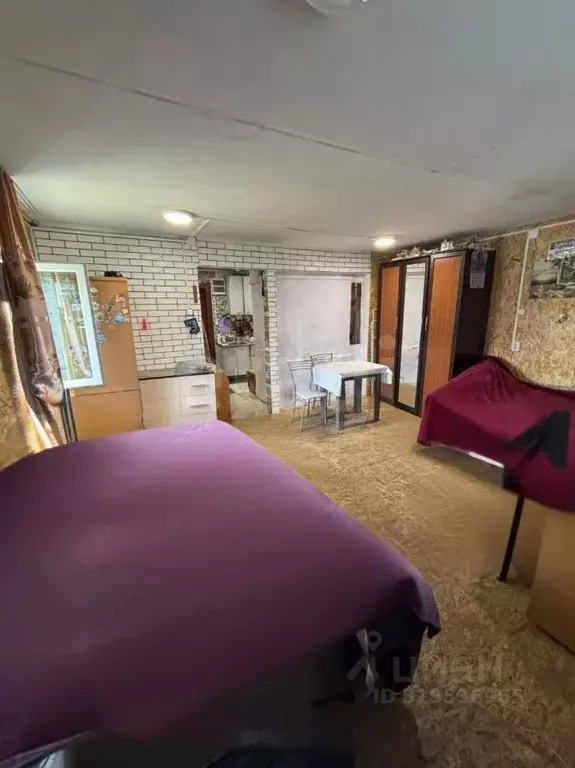 Дом в Амурская область, Белогорск Школьная ул., 30 (35 м) - Фото 1