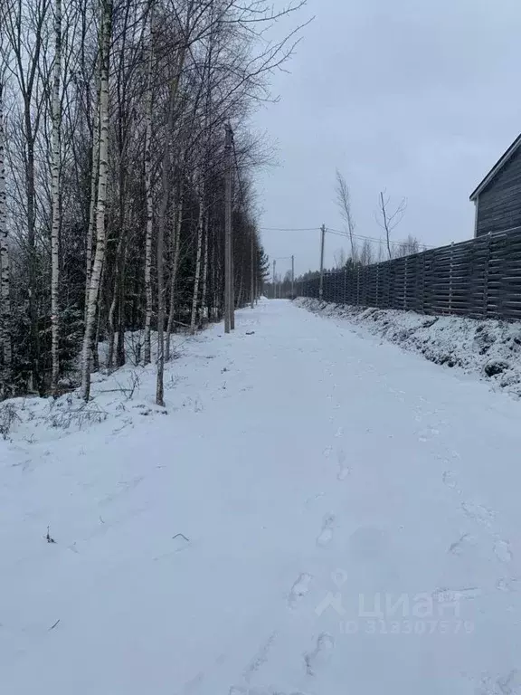 Участок в Ленинградская область, Всеволожский район, Агалатовское ... - Фото 1