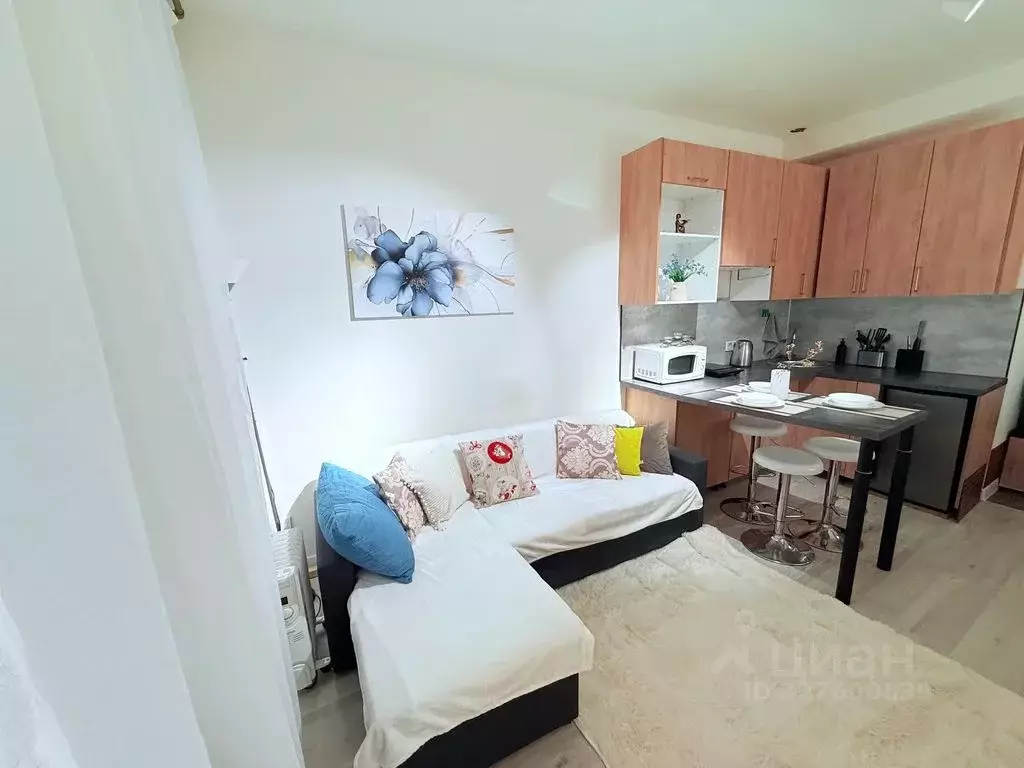 Студия Москва Средняя Переяславская ул., 27С1 (20.0 м) - Фото 2