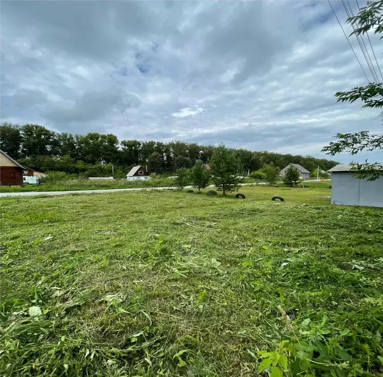 Дом в Новосибирская область, Мошковский район, с. Сокур ул. ... - Фото 1