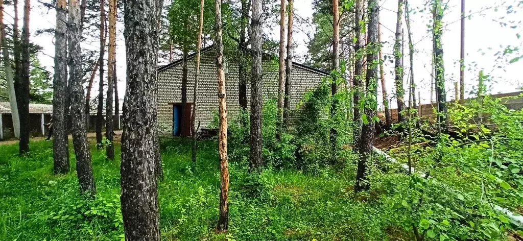 Помещение свободного назначения в Амурская область, Магдагачи пгт ул. ... - Фото 2