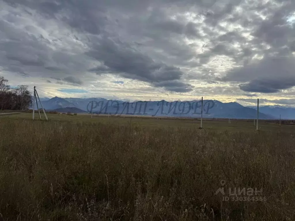 Участок в Алтай, Усть-Коксинский район, с. Чендек Зеленая ул. (15.0 ... - Фото 1