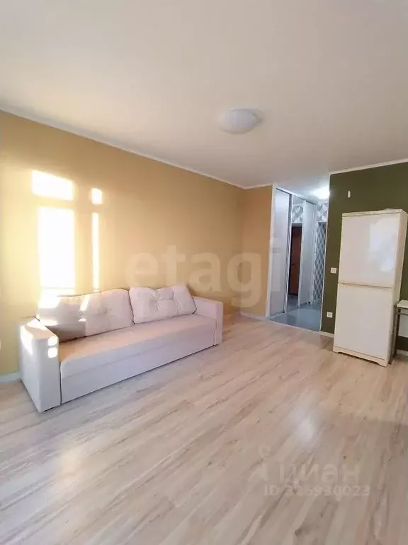 Студия Тюменская область, Тюмень ул. Ю.-Р.Г. Эрвье, 24к2 (30.3 м) - Фото 1