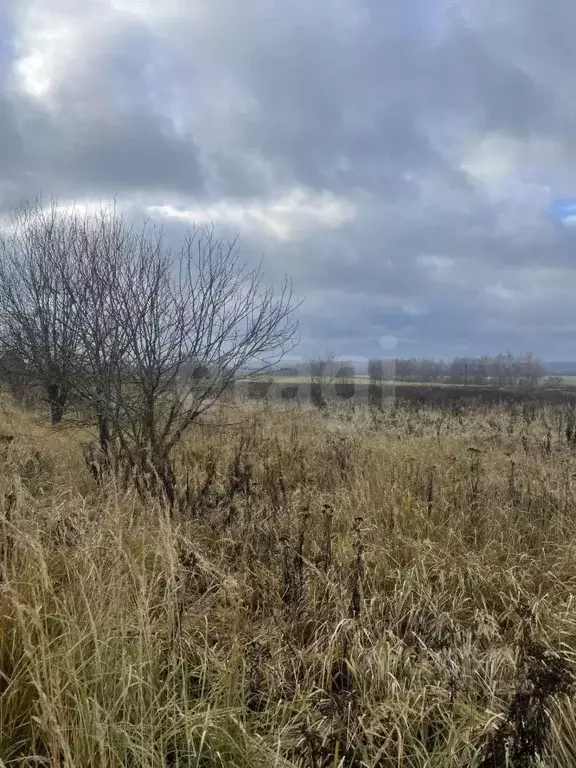 Участок в Тульская область, Болохово Киреевский район, ул. Строителей ... - Фото 2