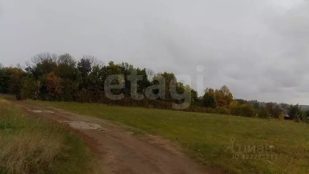 Участок в Воронежская область, Семилукский район, с. Землянск  (16.78 ... - Фото 2