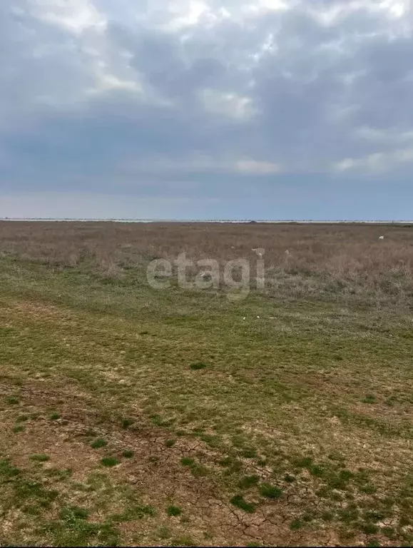 Участок в Крым, Черноморский район, Оленевское с/пос, с. Оленевка ул. ... - Фото 0