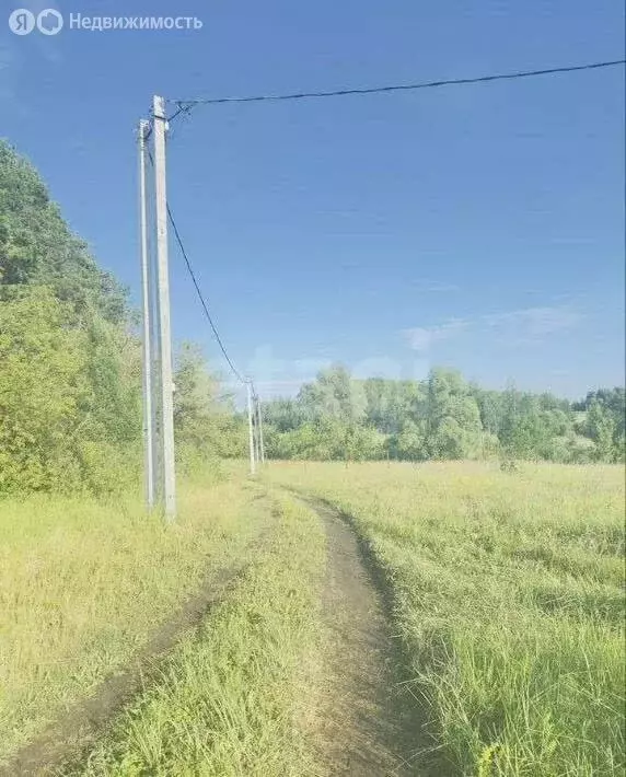 Участок в Лямбирский район, Берсеневское сельское поселение, село ... - Фото 1