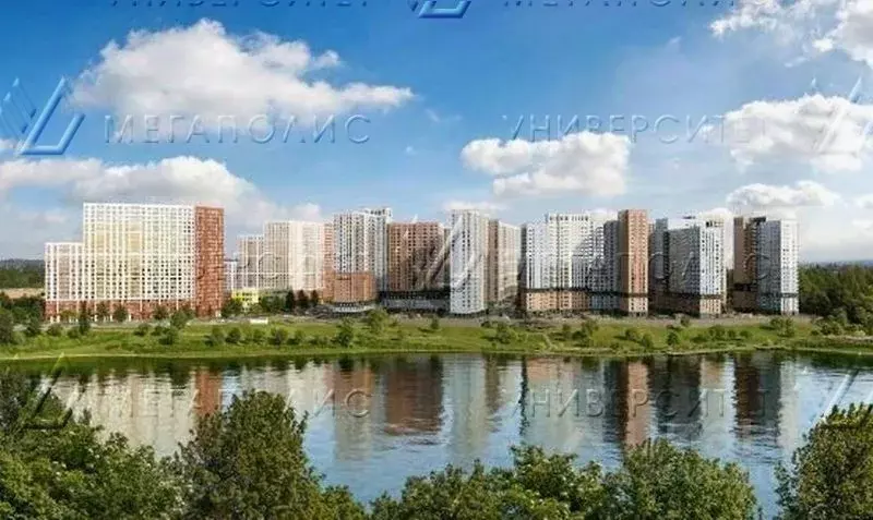 Торговая площадь в Московская область, Ленинский городской округ, д. ... - Фото 2