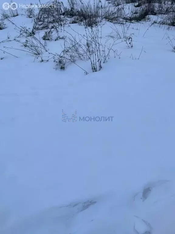 Участок в Нижегородская область, рабочий посёлок Дальнее ... - Фото 1