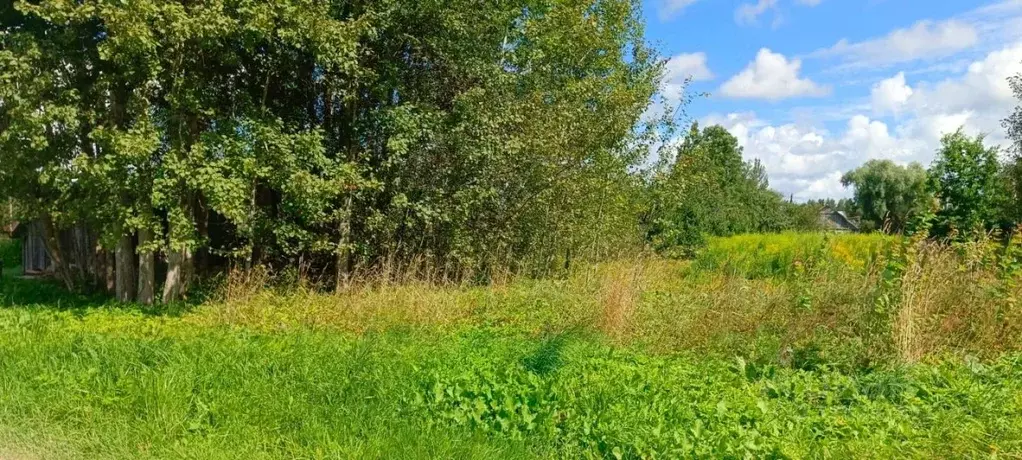 Участок в Псковская область, Псковский район, Ершовская волость, д. ... - Фото 1