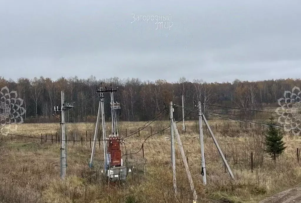 Участок в Московская область, Чехов муниципальный округ, д. Ефимовка ... - Фото 1