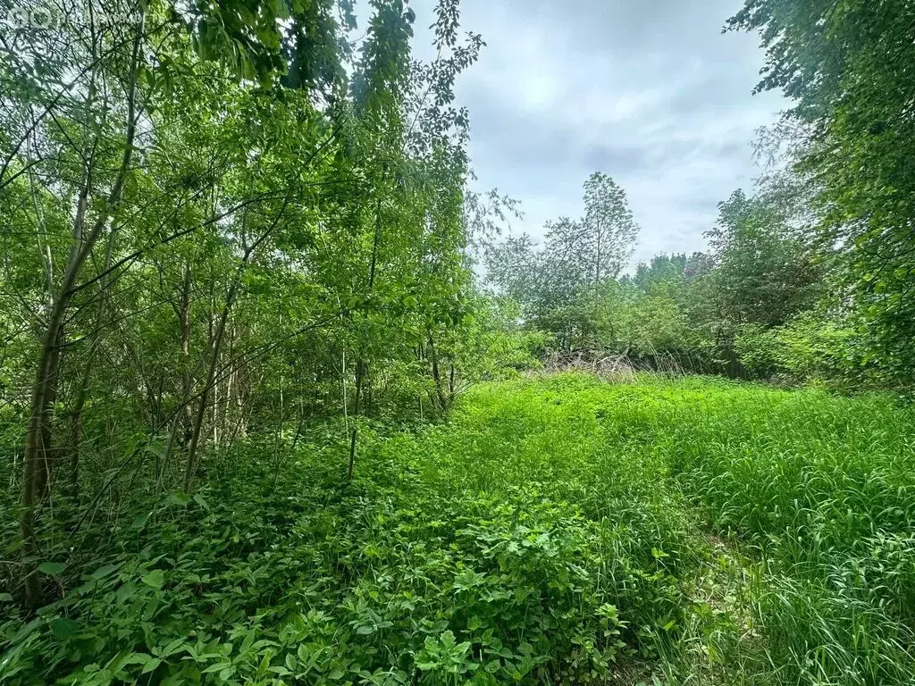 Участок в Балашиха, микрорайон Никольско-Архангельский, улица 2-я ... - Фото 2