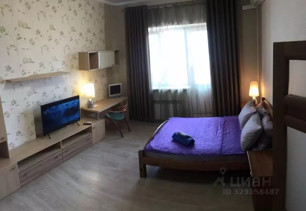 1-к кв. Воронежская область, Воронеж ул. Революции 1905 года, 31а ... - Фото 2