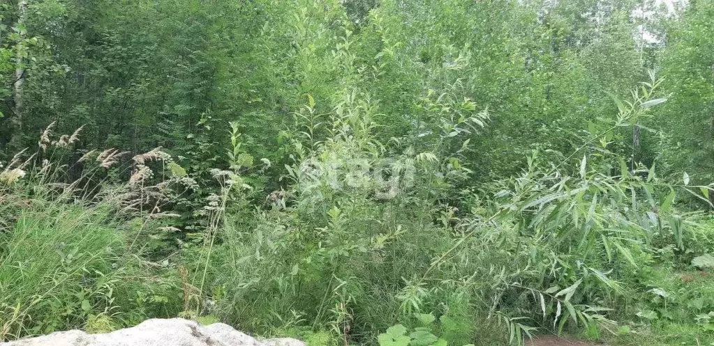 Участок в Ханты-Мансийский АО, Ханты-Мансийск Прометей СОТ,  (10.0 ... - Фото 1