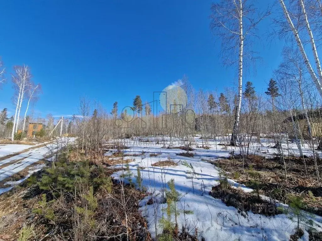 Участок в Иркутская область, Иркутский муниципальный округ, Янтарь ДНТ ... - Фото 1