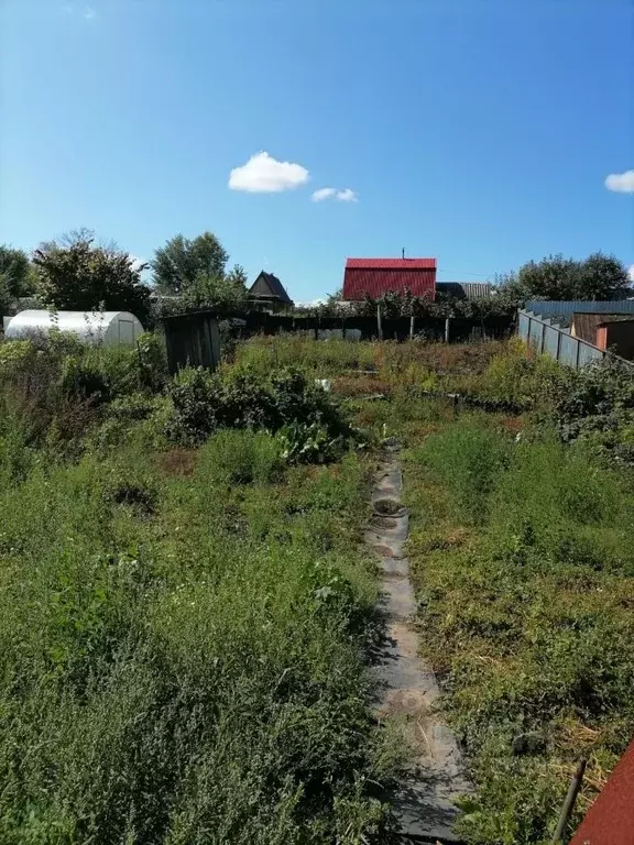 Дом в Алтайский край, Барнаул Дружба СНТ,  (30 м) - Фото 0