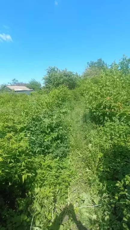 Участок в Саратовская область, Балашов Цветочная ул. (10.0 сот.) - Фото 0