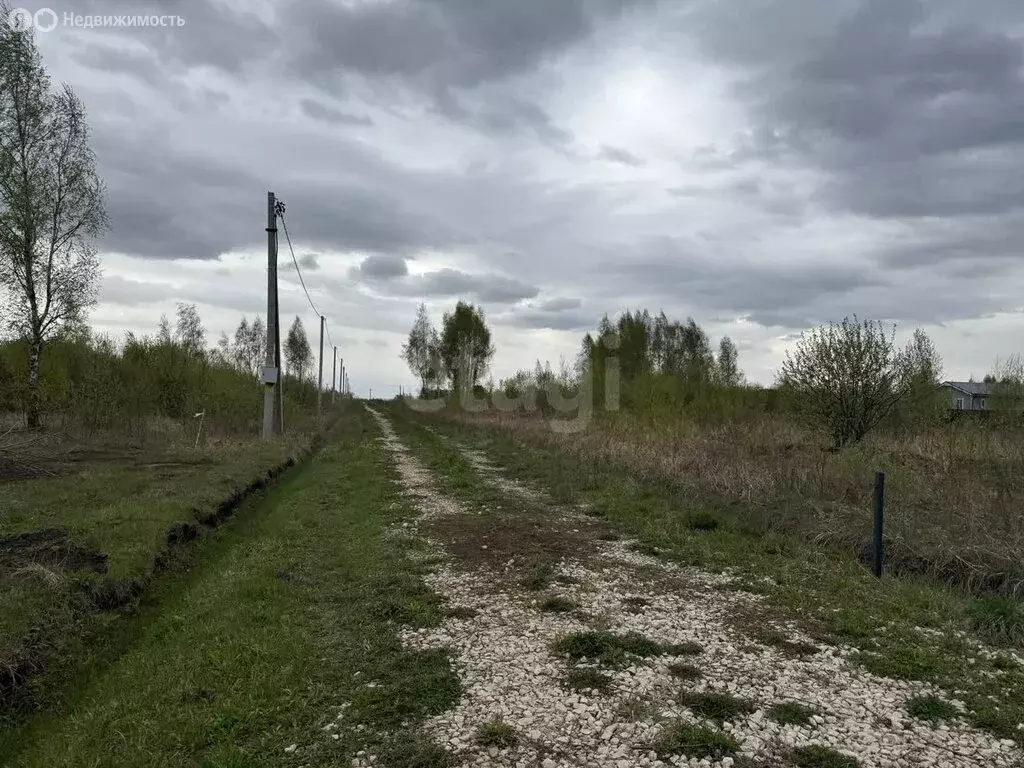 Участок в Тульская область, городской округ Тула, деревня Верхняя ... - Фото 1