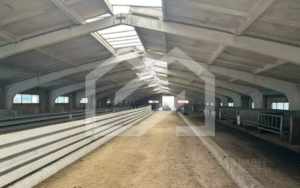 Склад в Московская область, Талдомский городской округ, д. Кутачи 34 ... - Фото 2