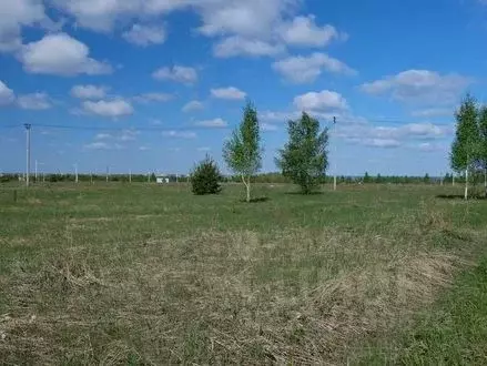 Участок в Татарстан, Казань Любитель природы-2 СНТ, 4 (6.0 сот.) - Фото 2