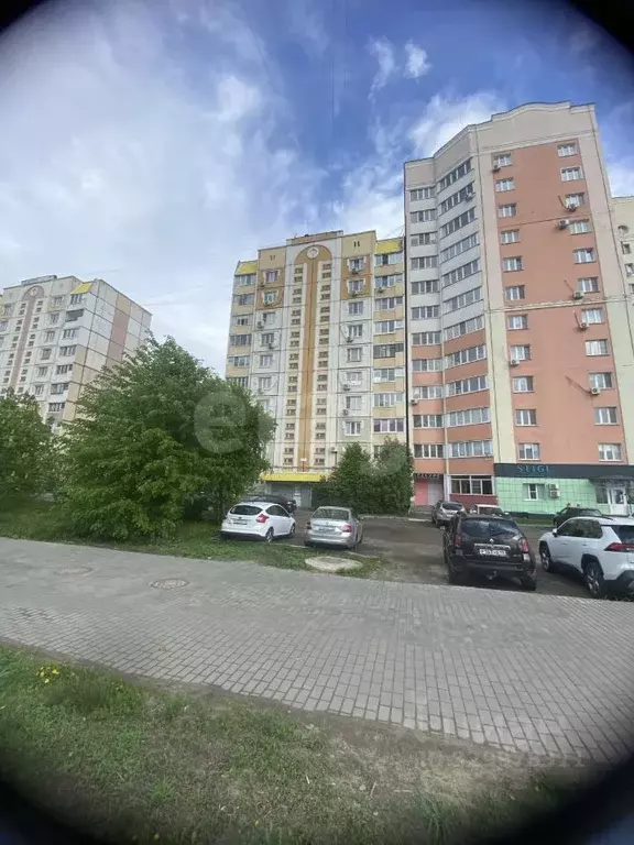 1-к кв. Липецкая область, Липецк ул. А.Г. Стаханова, 55 (37.1 м) - Фото 1