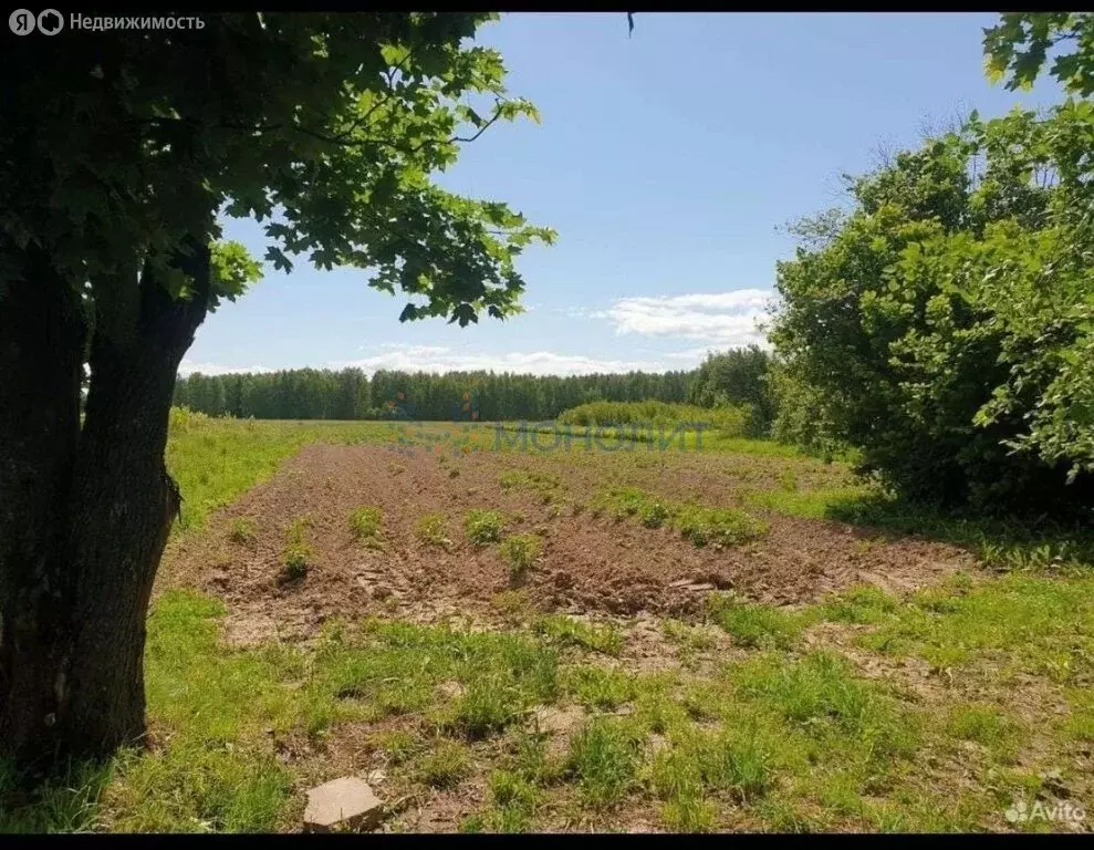 Участок в Нижегородская область, Городецкий муниципальный округ, ... - Фото 1