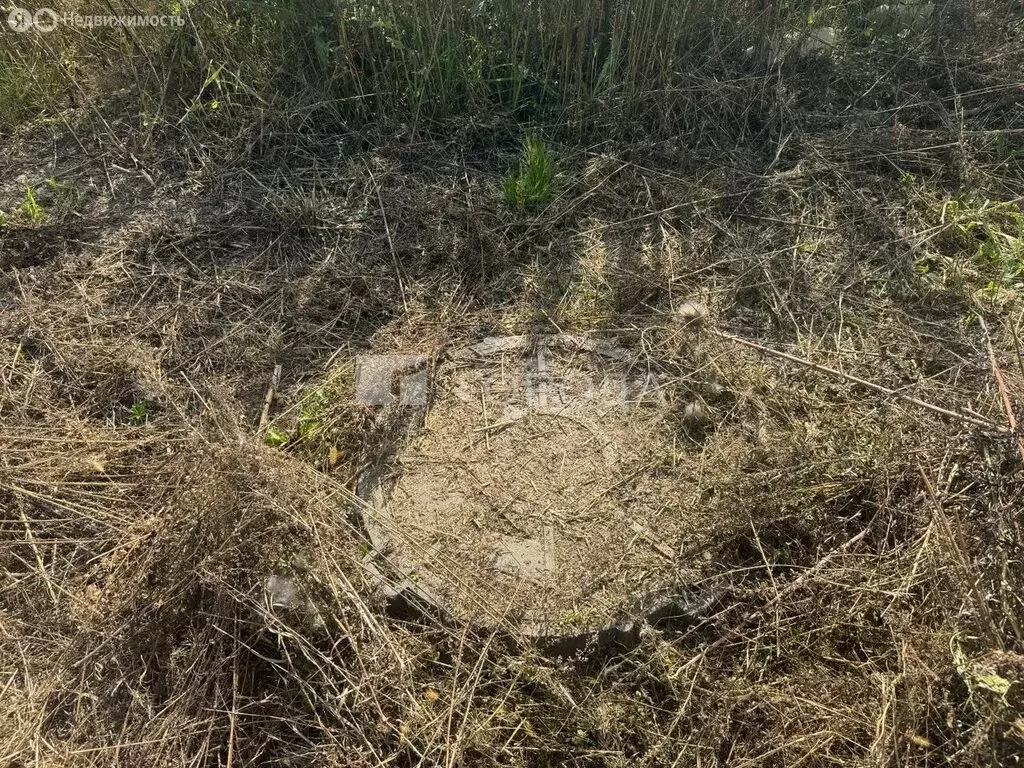 Дом в село Фирсово, жилой комплекс Палитра, улица Ильи Репина (150 м) - Фото 2